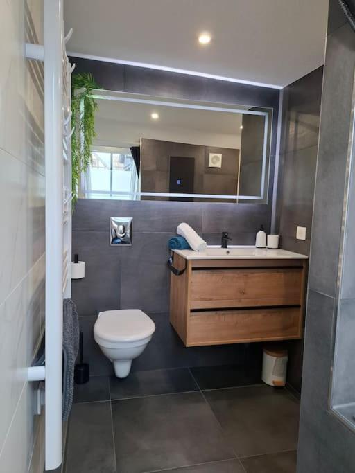 Bel Appartement, Selestat Ngoại thất bức ảnh