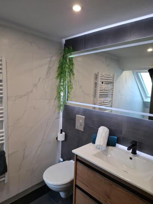 Bel Appartement, Selestat Ngoại thất bức ảnh